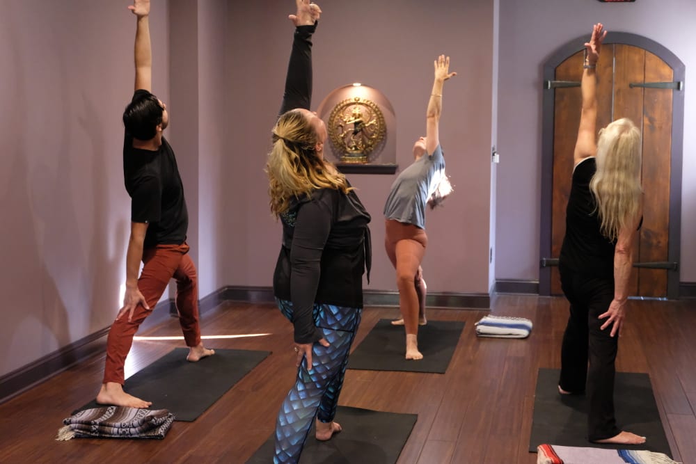 Dragonfly Yoga Studio, photo 3