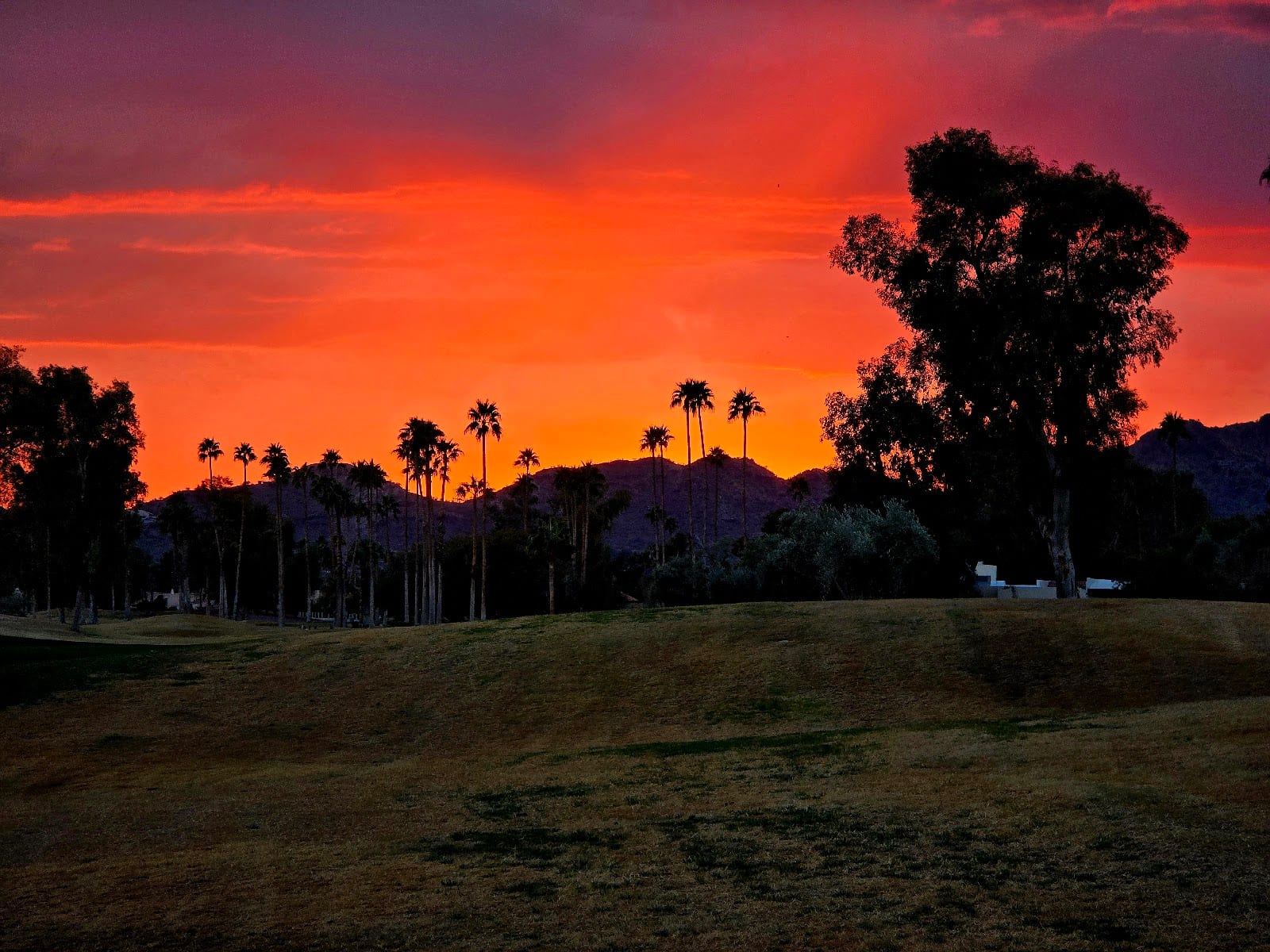 McCormick ranch golf club 14th hole