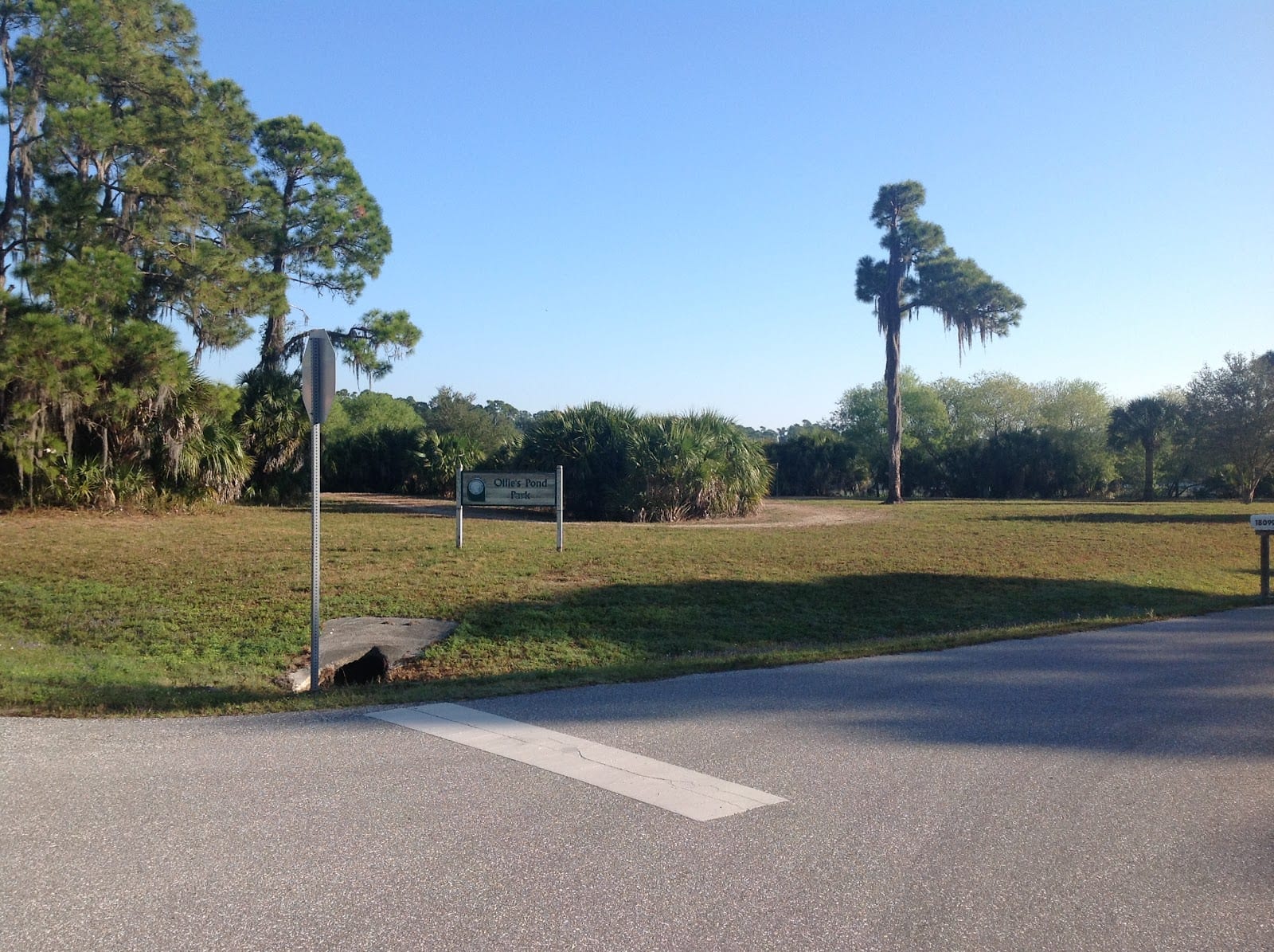 Ollie's Pond Park