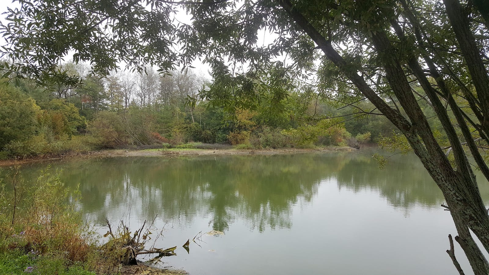 Delbert Baker Pond & Garden