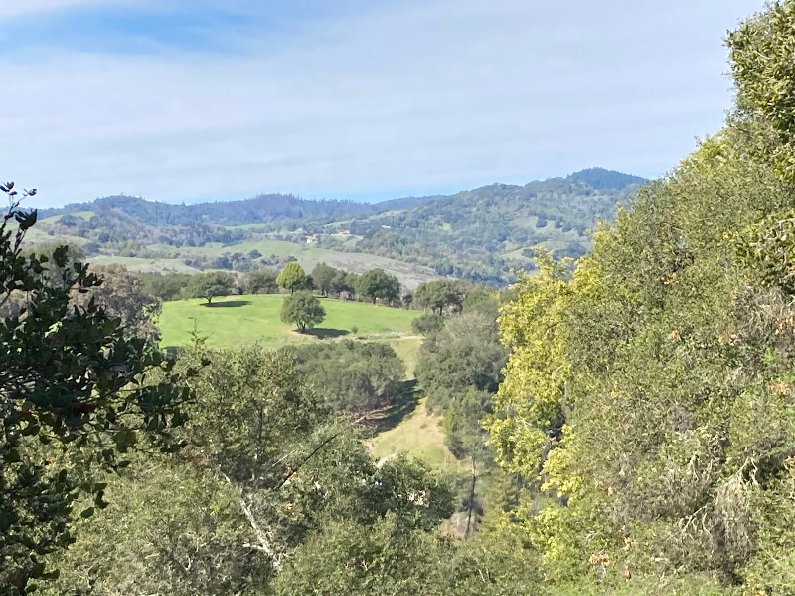 Westwood Hills Park