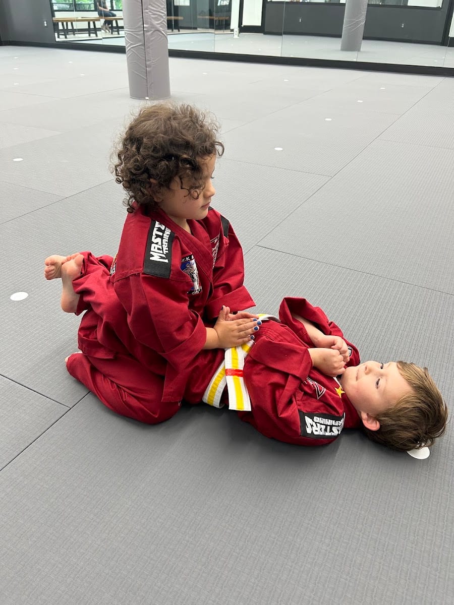 Professional Black Belt Academy - Frisco, photo 3