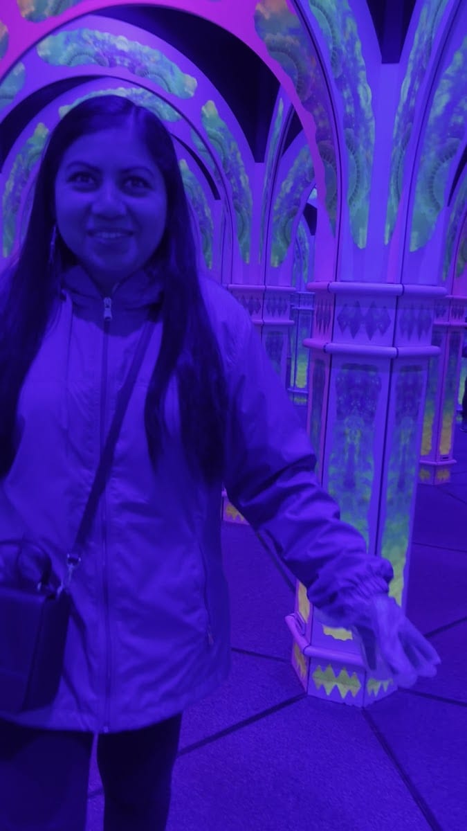 Magowan's Infinite Mirror Maze, photo 4