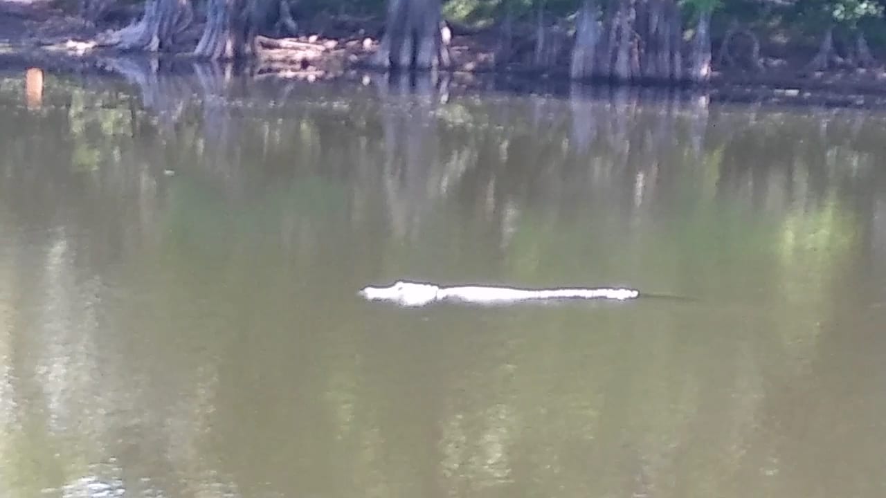 USF Riverfront Park, photo 3