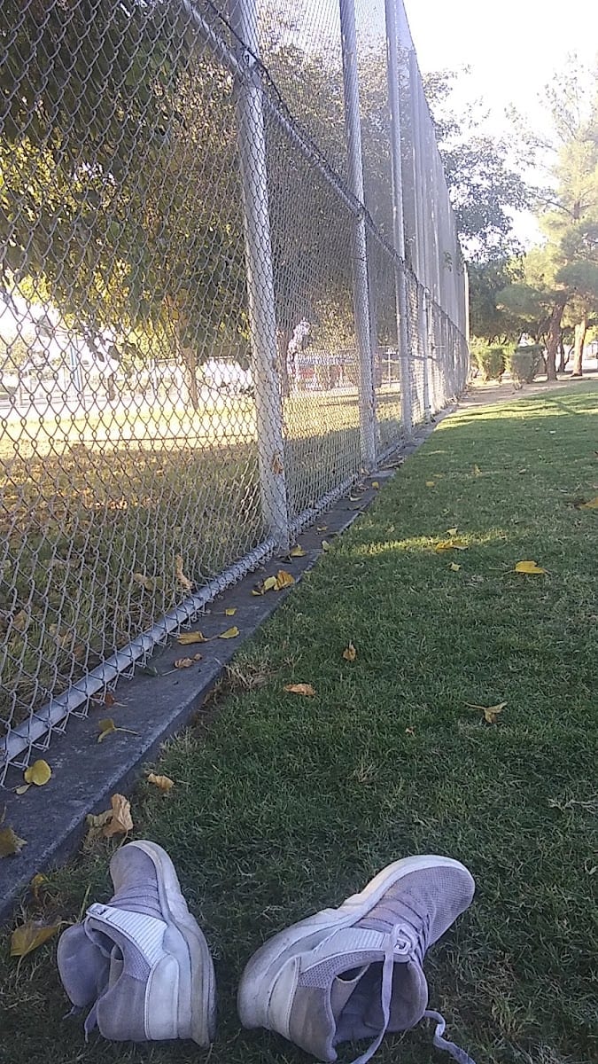 Mike Morgan Park
