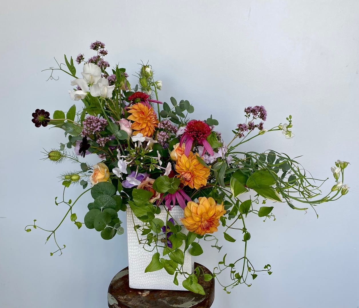 The Big Bloom, photo 3