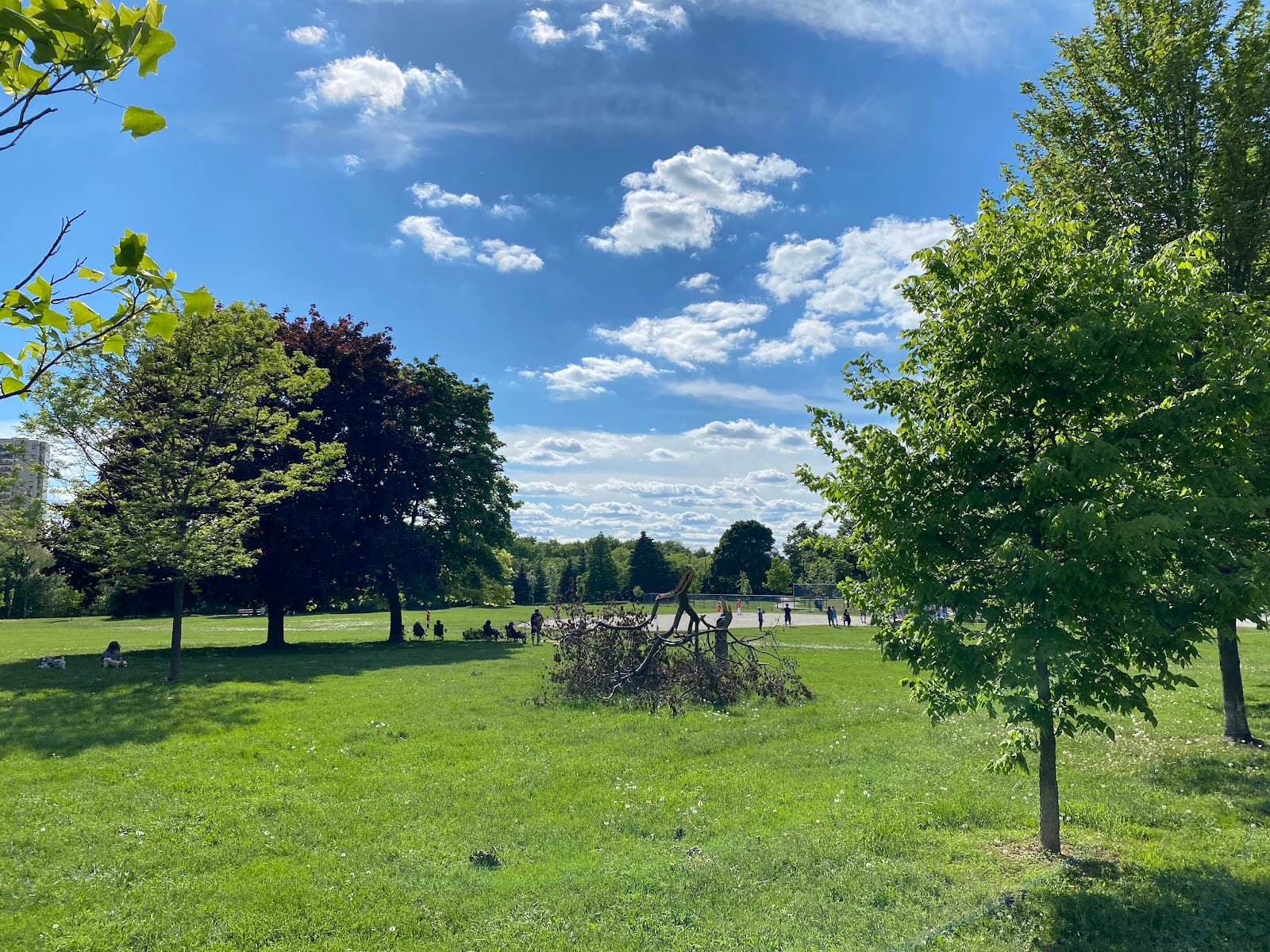Viewmount Park