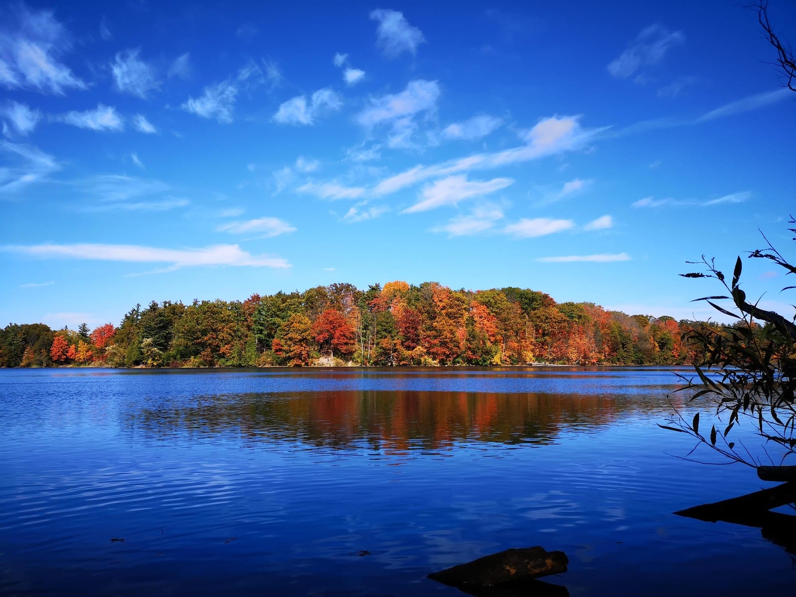Oak Ridges Trail