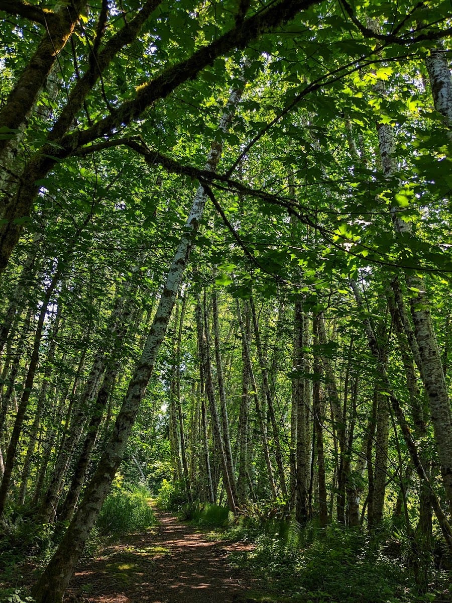 Taylor Wetlands Park