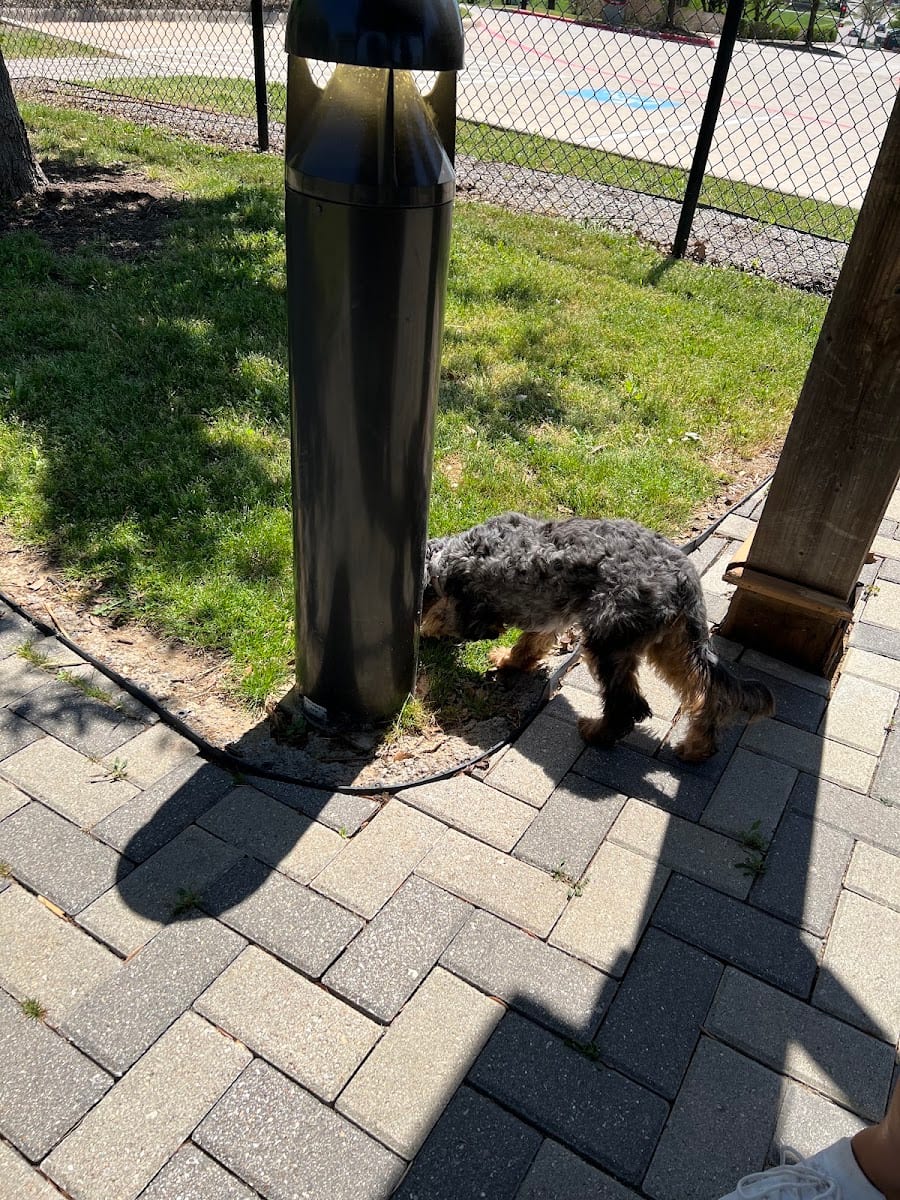 Dog Park, photo 2