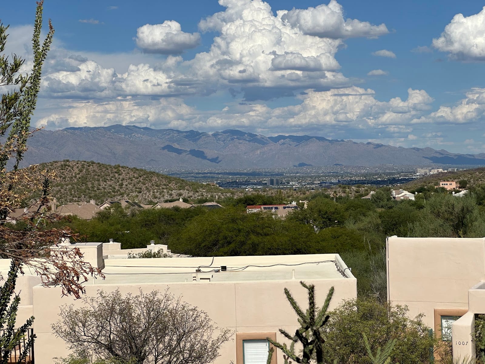 Vacasa - Phoenix & Scottsdale