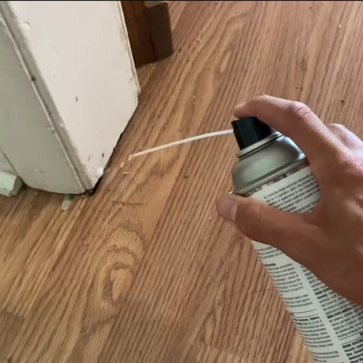 Reliable Pest Management