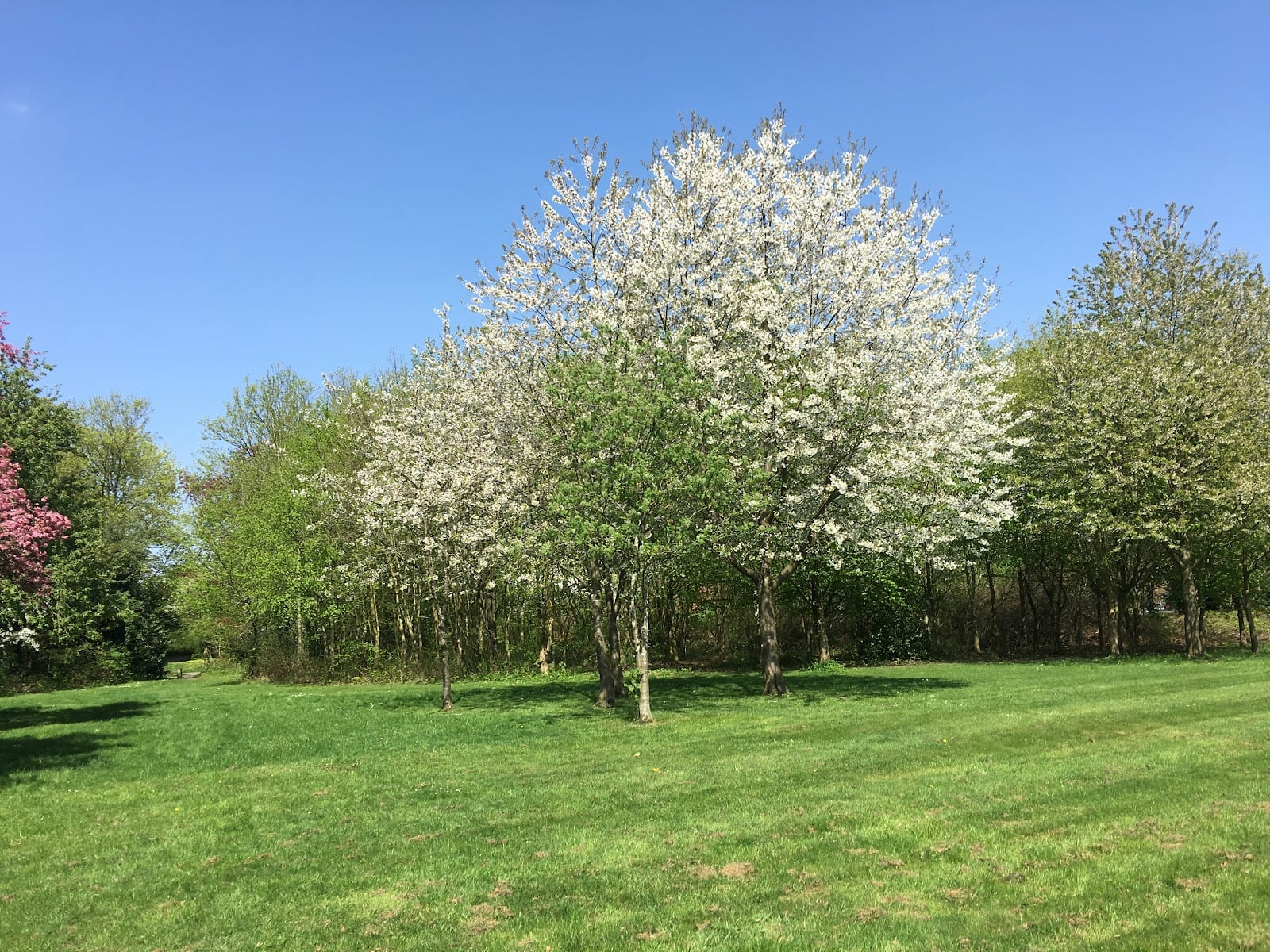 Highfield Park Trust, photo 2