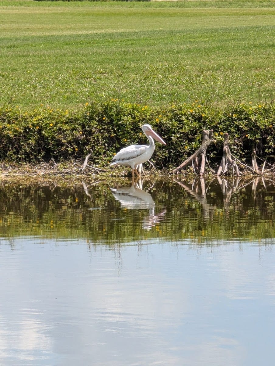 Twin Isles Country Club, photo 4