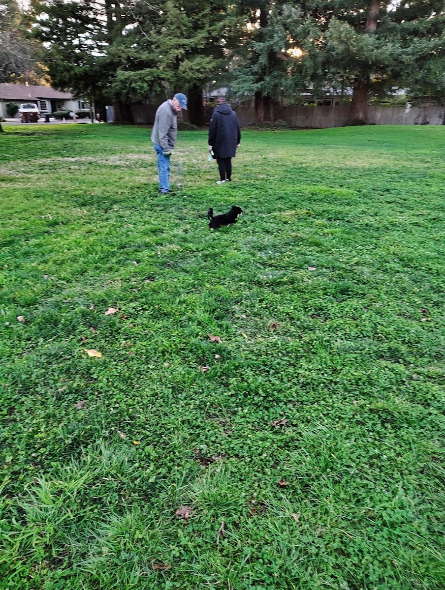 Sutherland Park