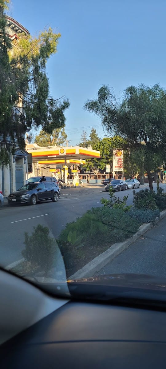 Shell, photo 4