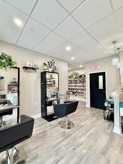 Fusion, The Salon