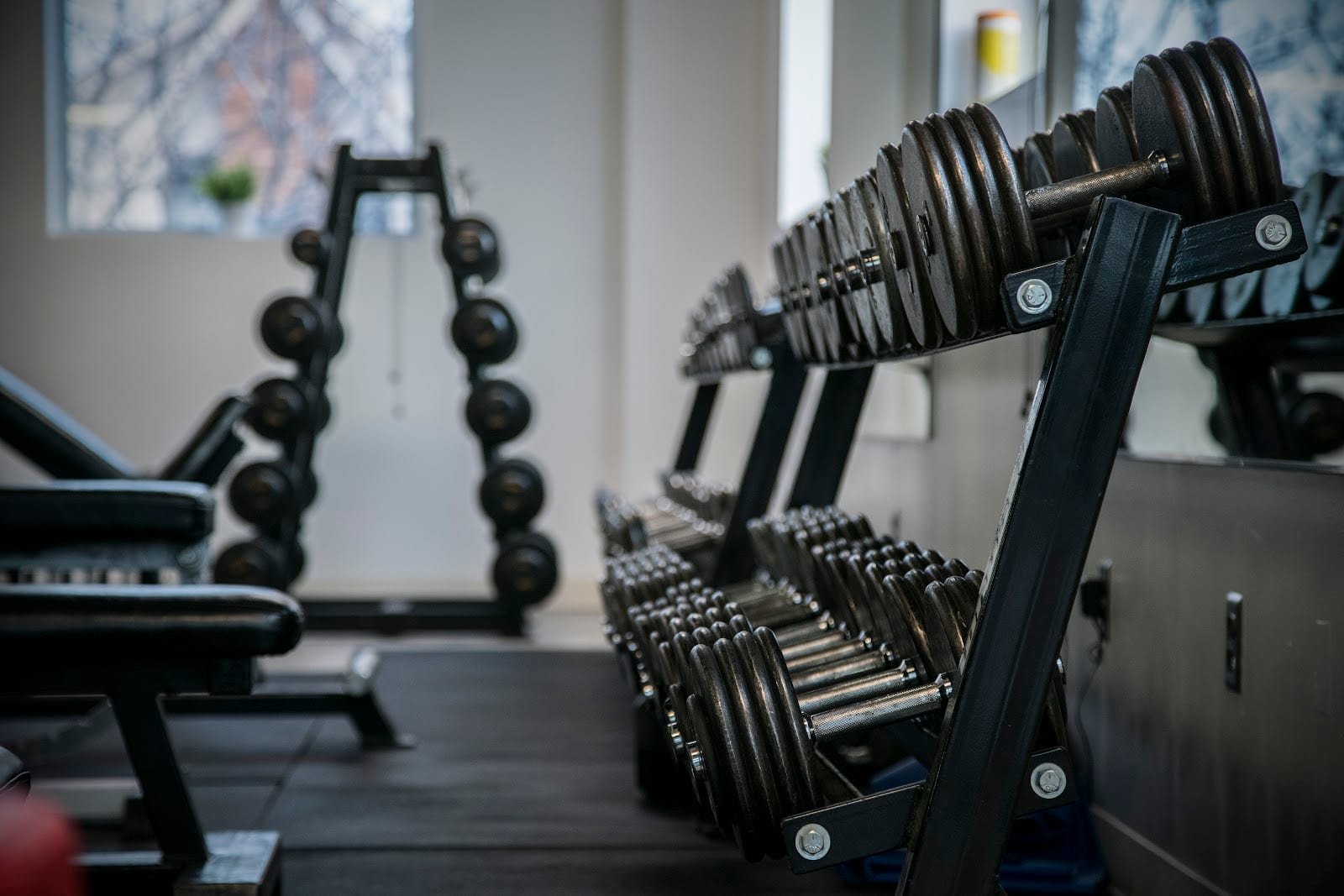 X365 Fitness, photo 3