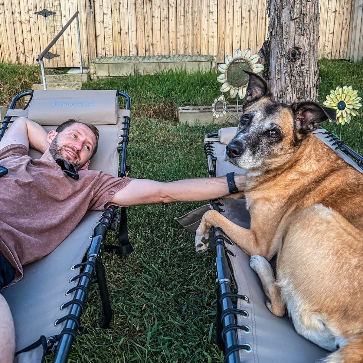 Hound and Katt Veterinarian, photo 2