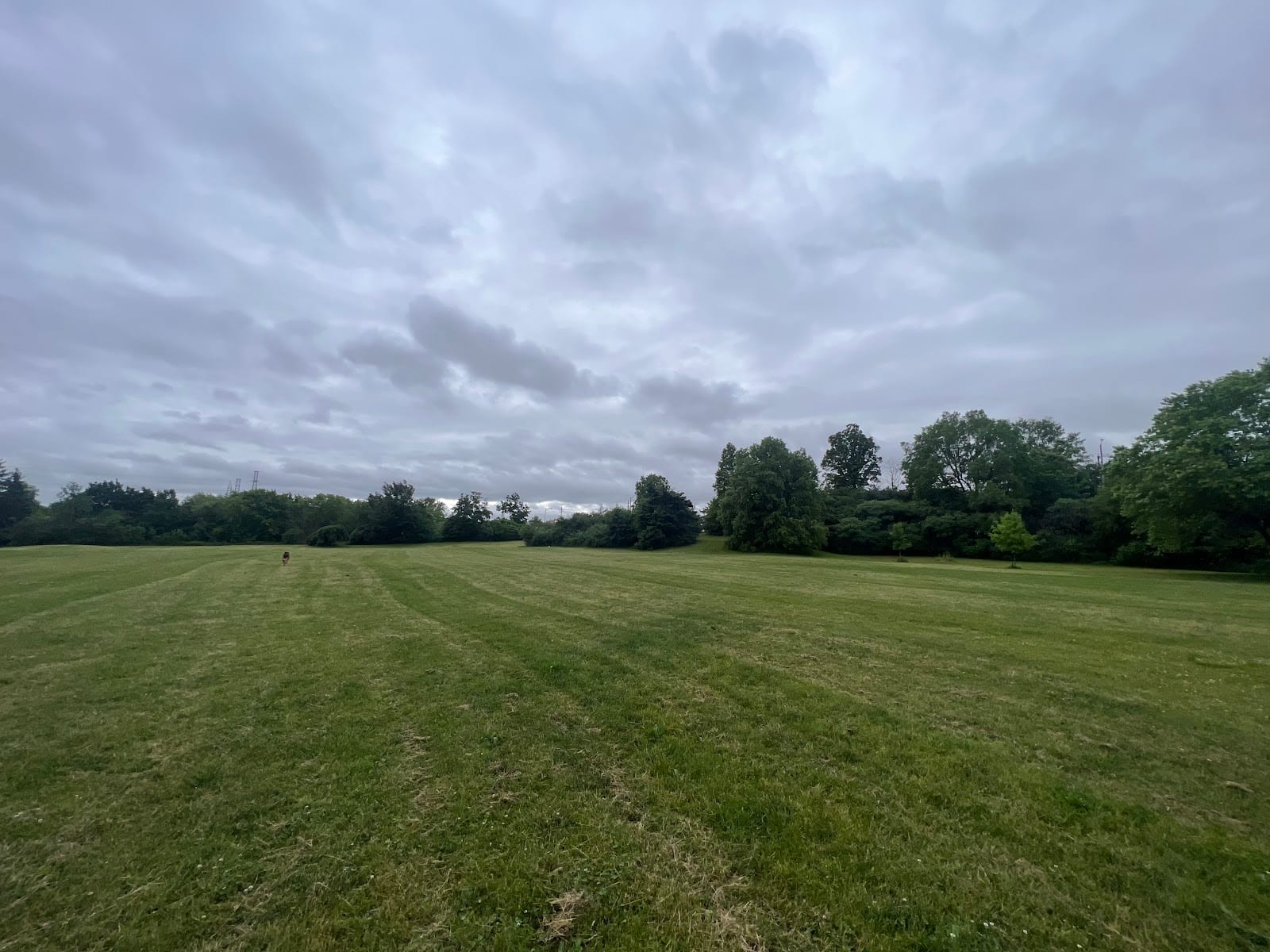G. Ross Lord Dog Park