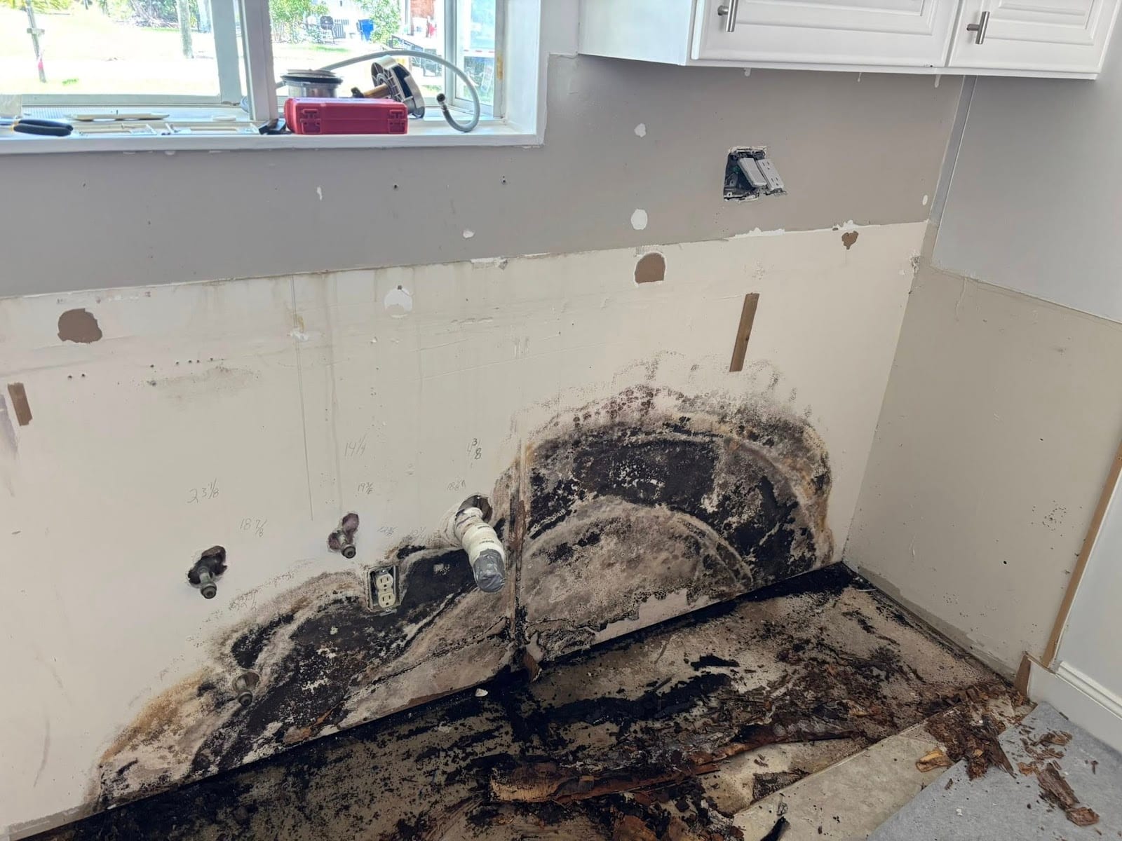 iMold Cleaning and Restoration - Water Damage and Mold Removal Specialists