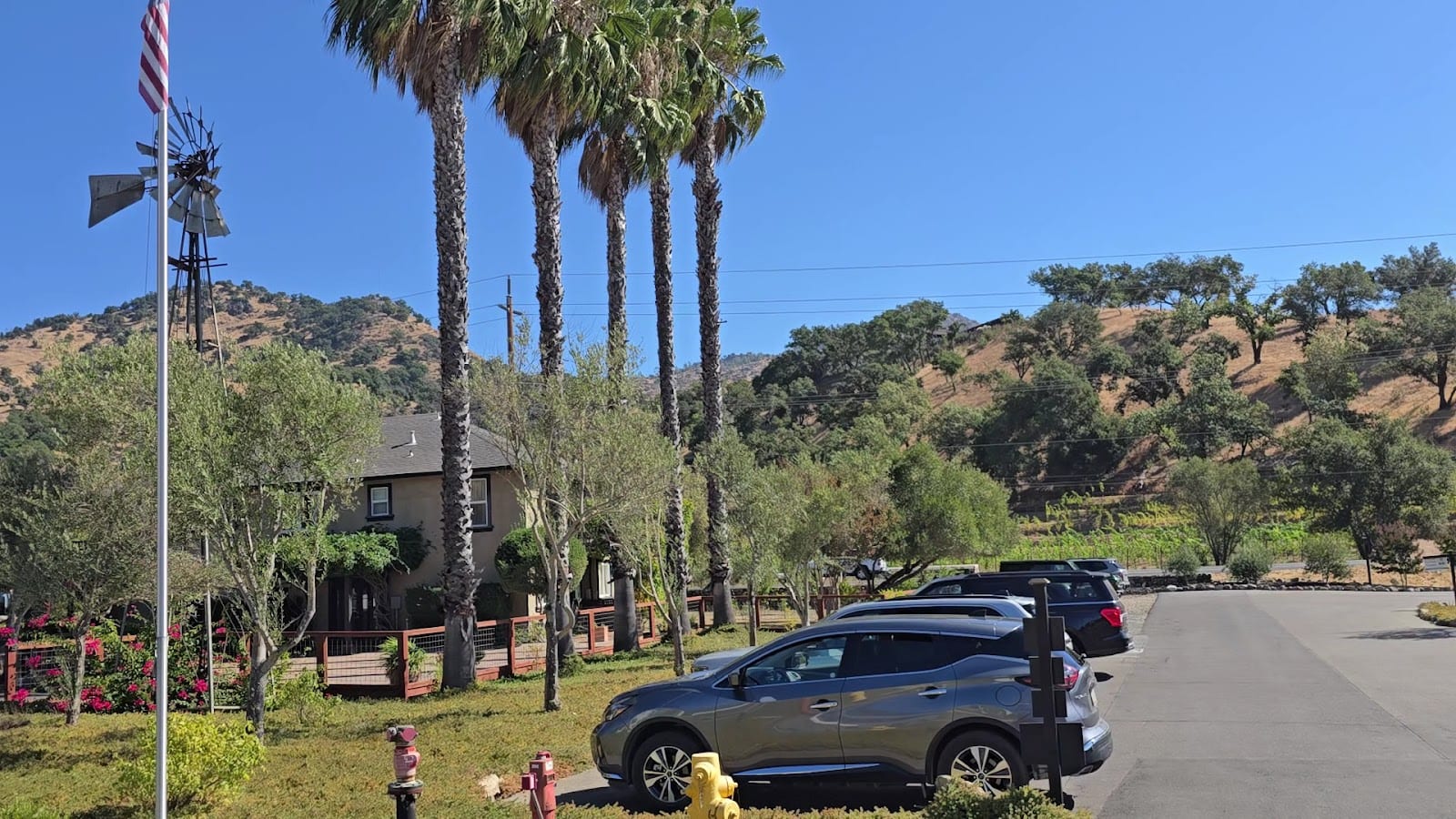Baldacci Family Vineyards, photo 3