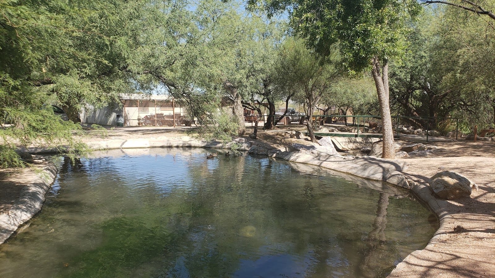Fort Lowell Park Orchard