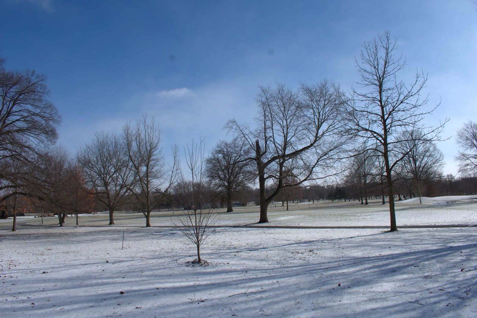 Foster Park Playground