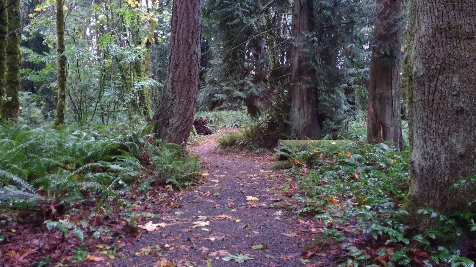 McGrath Woods Park