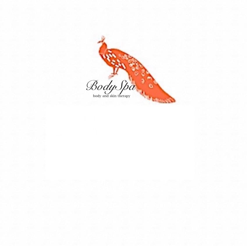BodySpa, body and skin therapy, LLC., photo 2