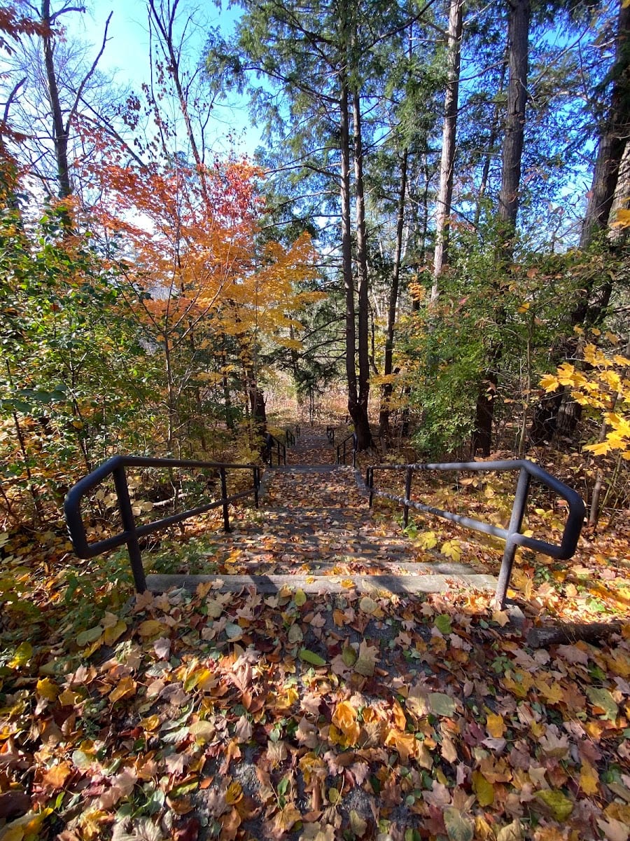 Mountain Biking Trail