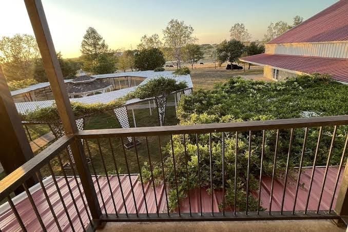 Country Farmhouse and Cottage,13 minutes from Denton and Lake Ray Roberts, photo 3