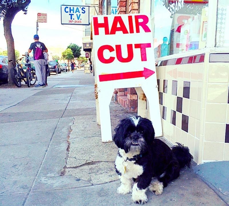 Geary Salon, photo 2