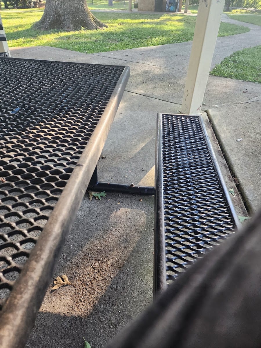 Dog park, photo 2
