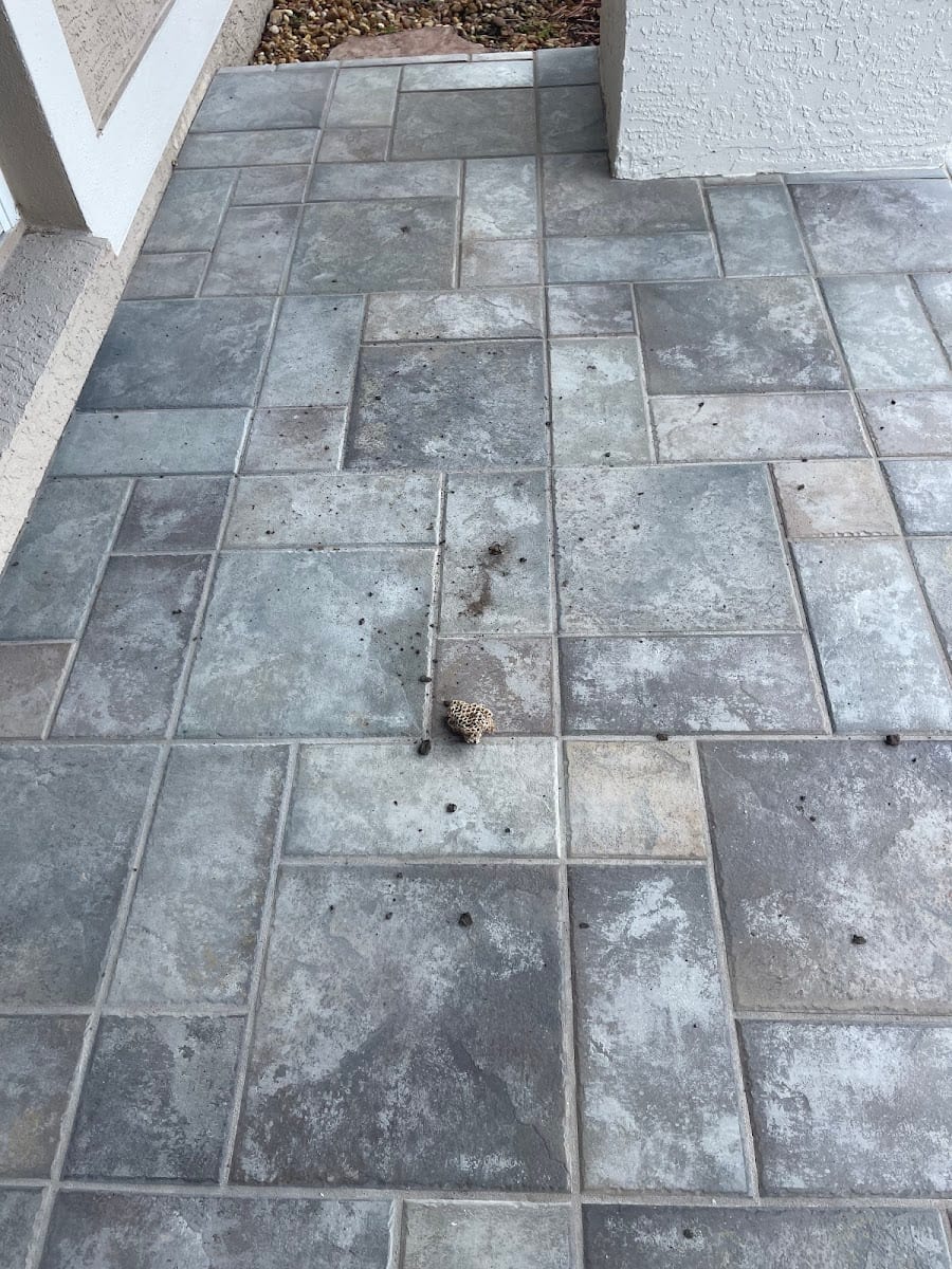 Good News Pest Solutions, photo 3