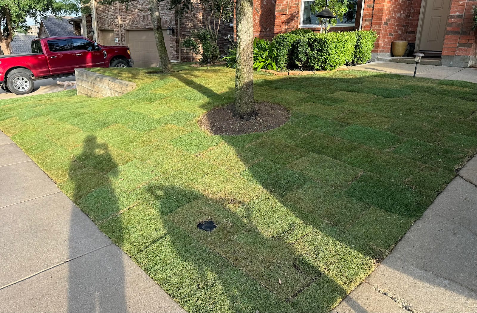 Ryno Lawn Care, LLC
