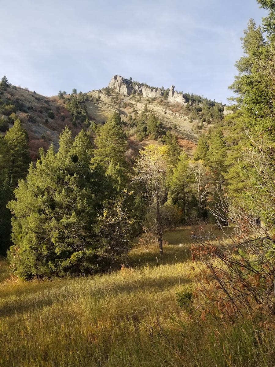 Mount Naomi Wilderness