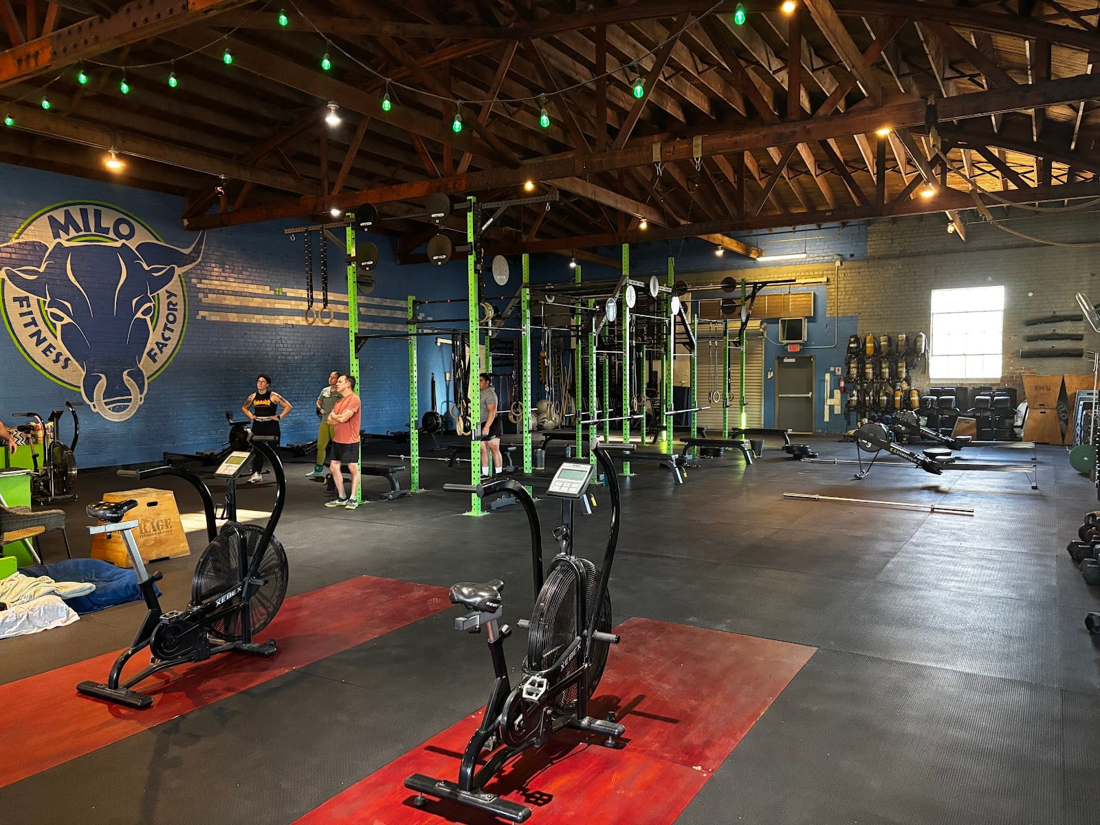 Milo Fitness Factory, photo 2