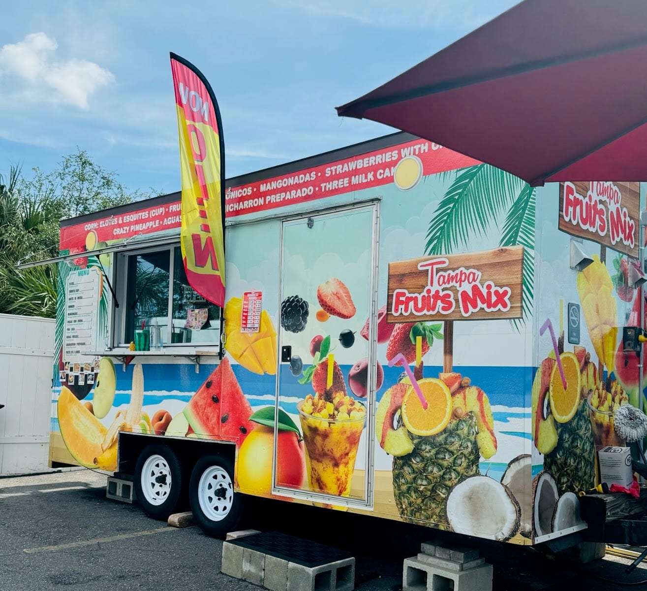 Tampa Fruits Mix Food Truck, photo 3