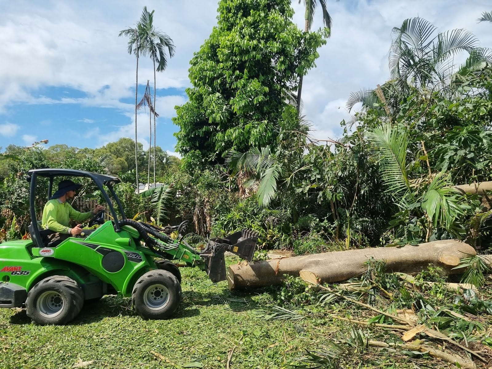 Wade's Tree Service, photo 4