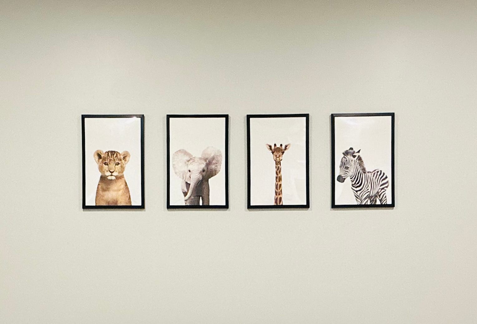 South Tampa Kids Pediatric Care, photo 3