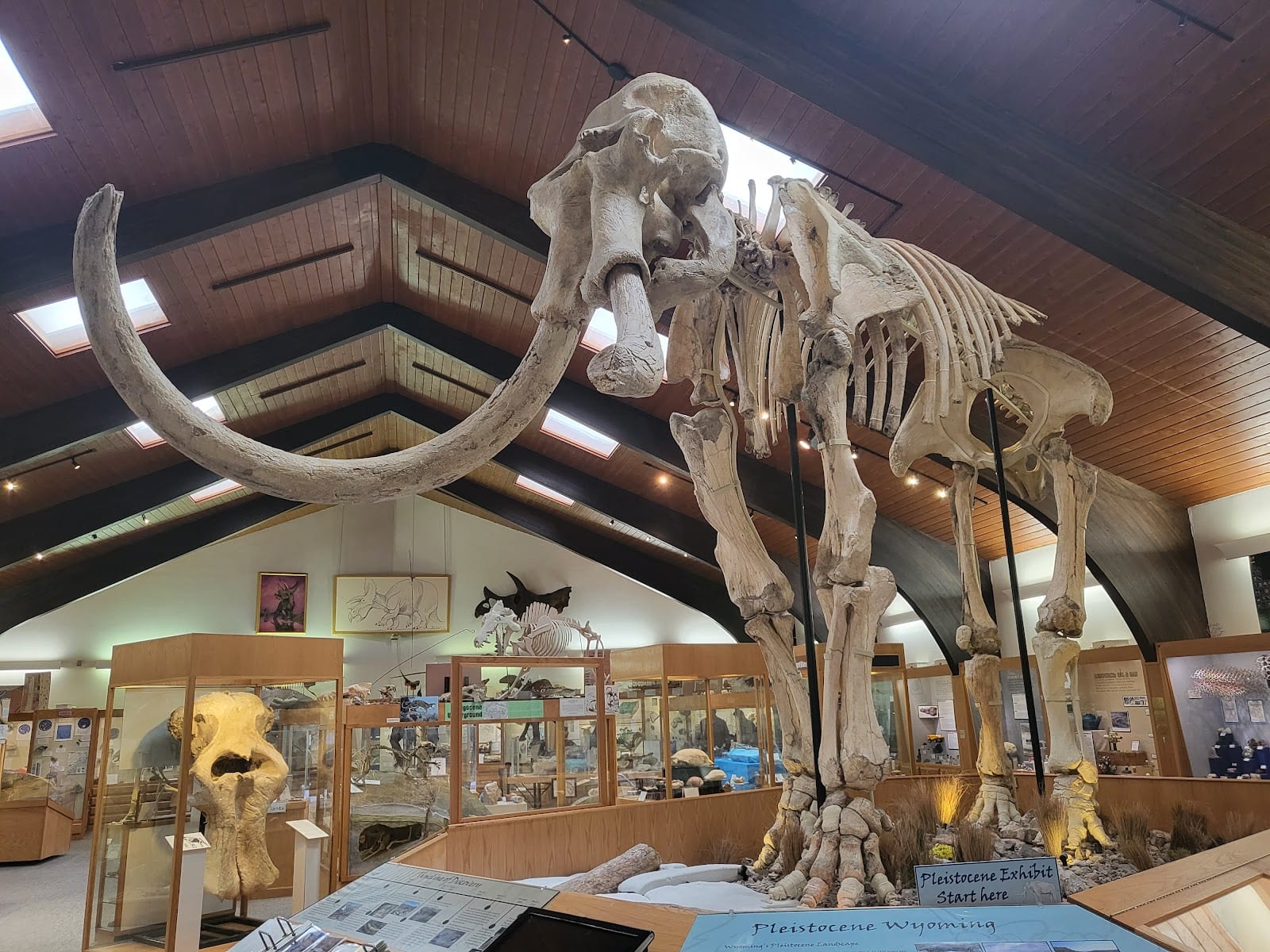 Tate Geological Museum at Casper College