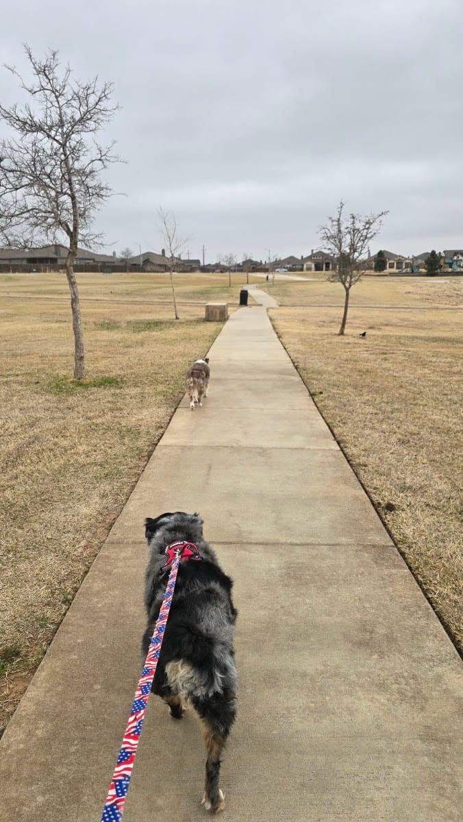 Bell Farms Park