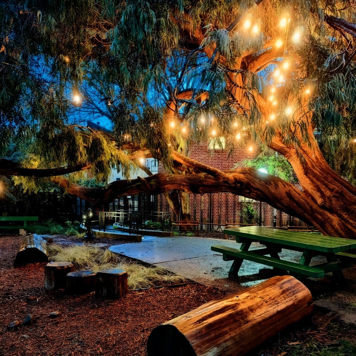 Muriel Leff Mini Park, photo 3