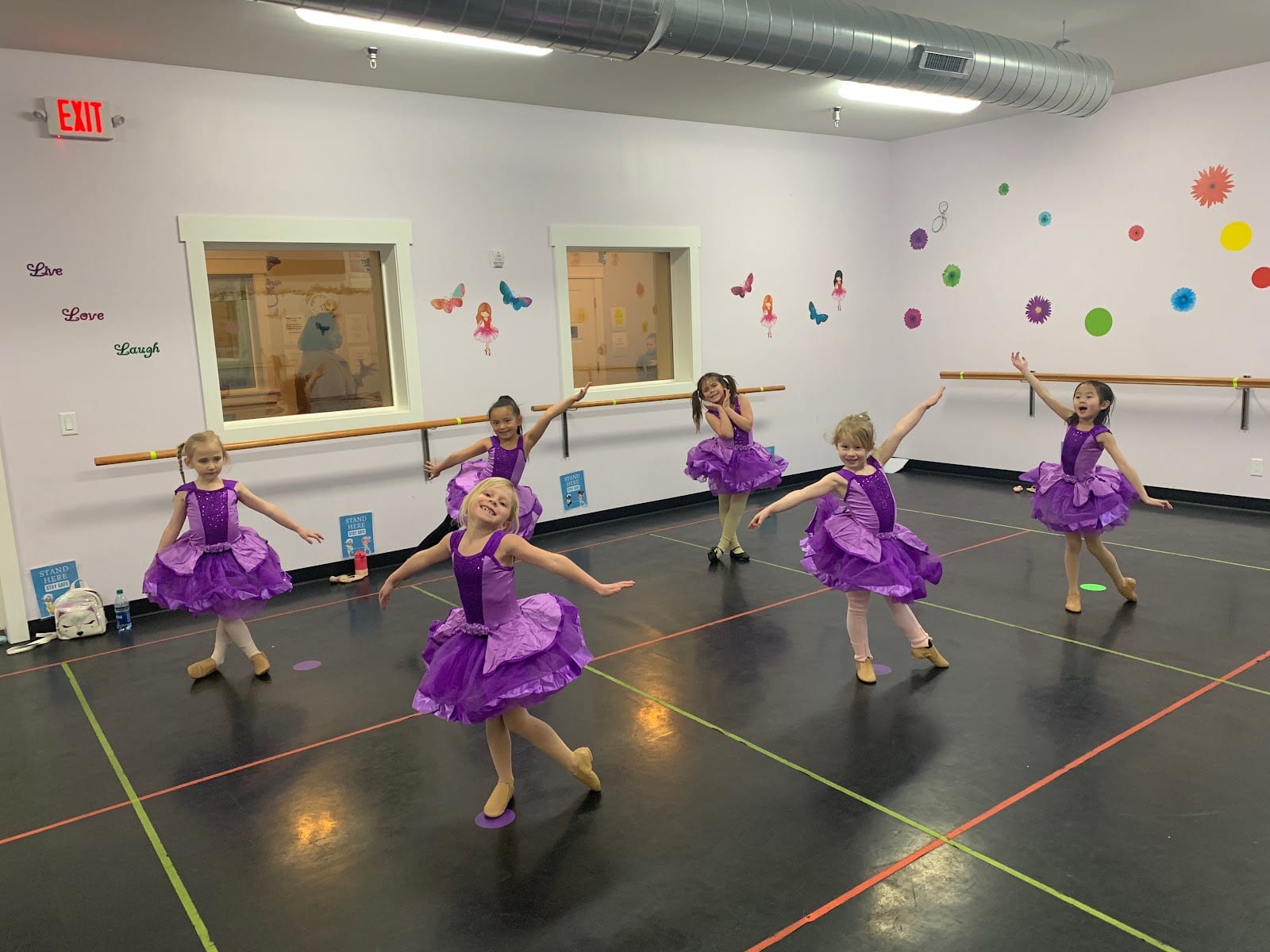 Dance Evolutions