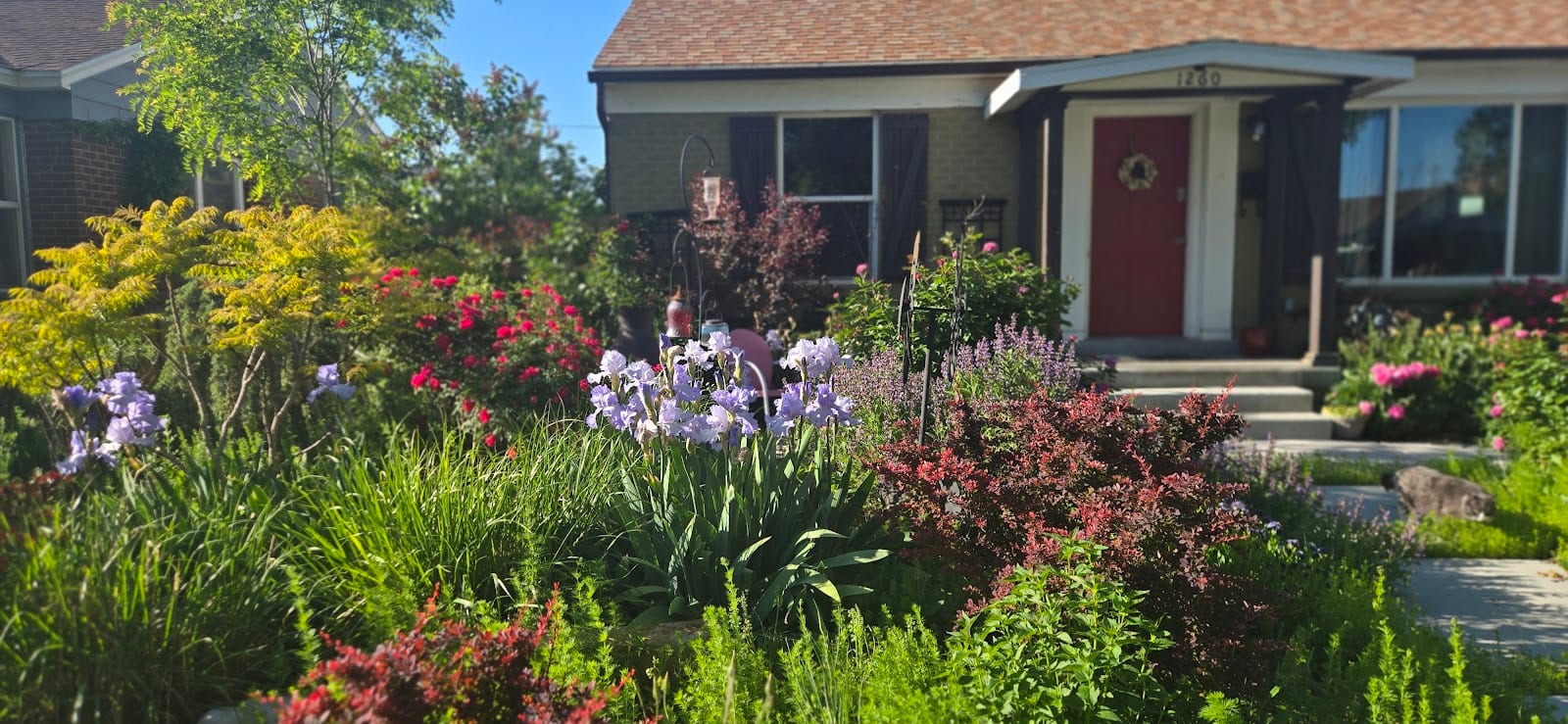 SLC Craniosacral Therapy and Massage