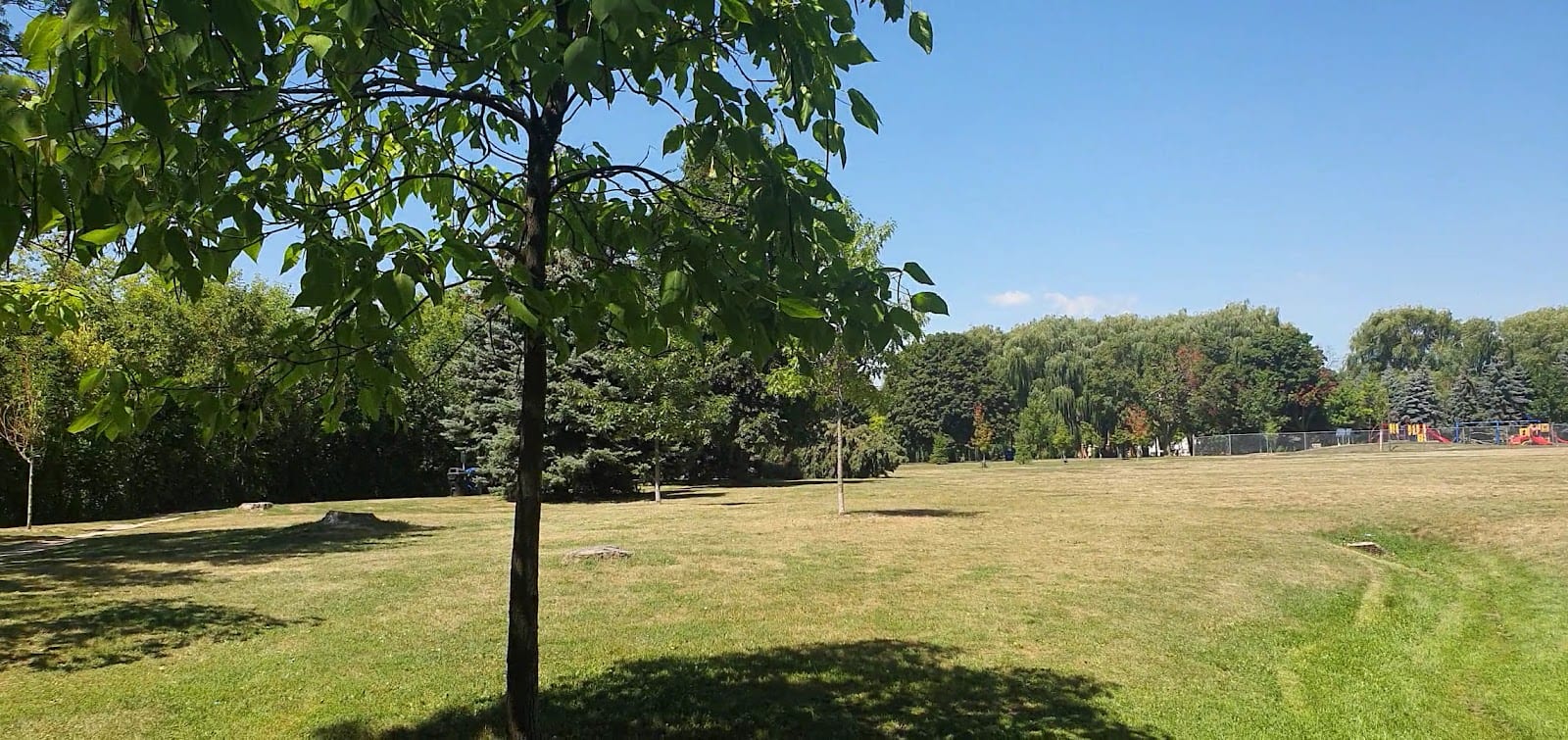 Viewmount Park, photo 2