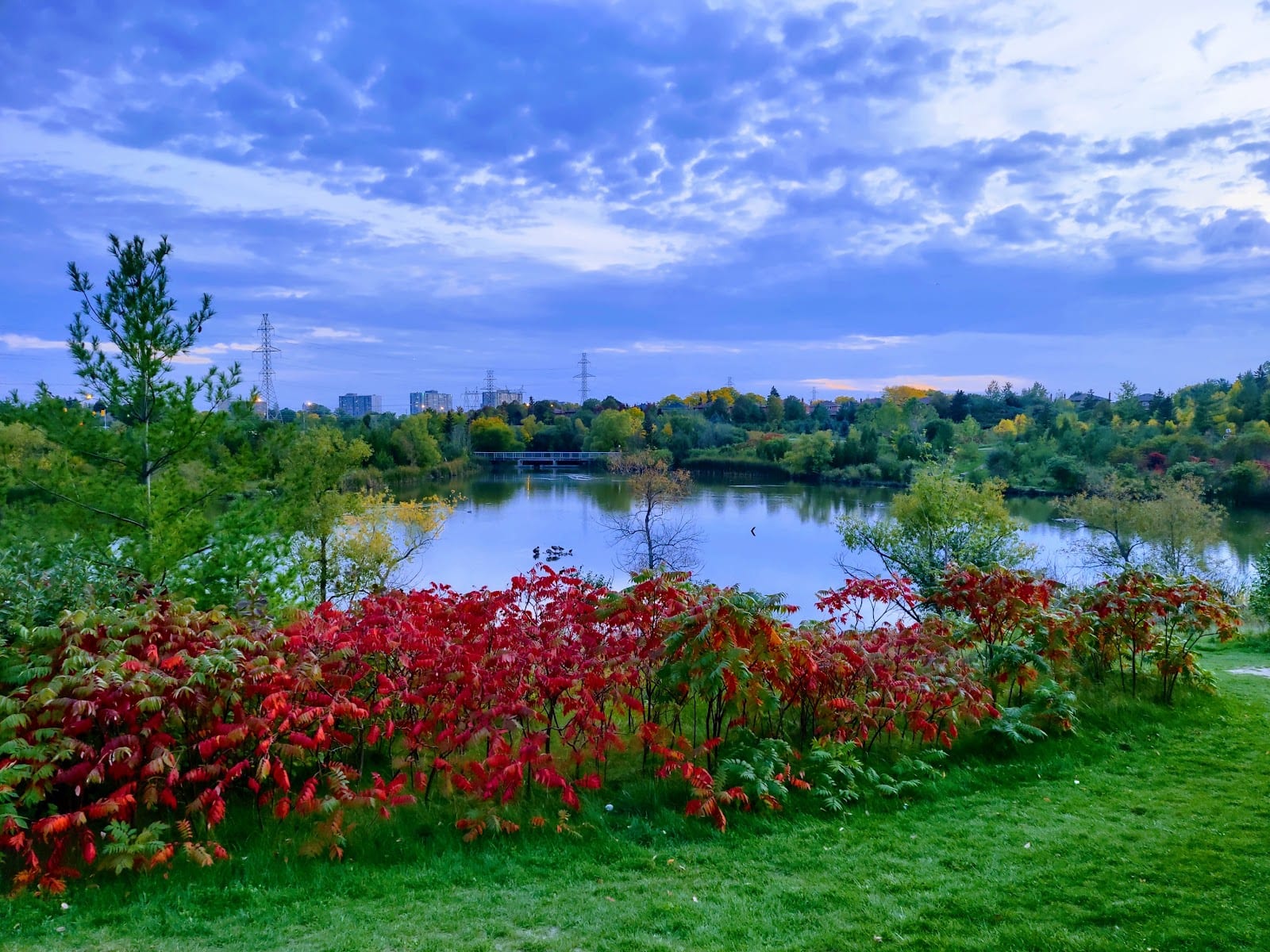 Lawrence Heights Park, photo 2