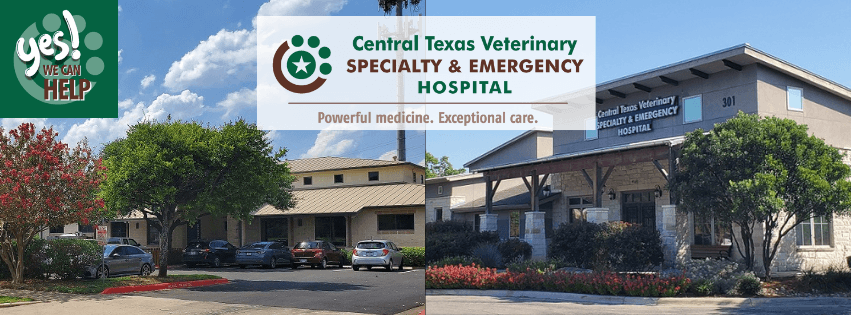 Central Texas Veterinary Speciality and Emergency Hospital- Round Rock, photo 2