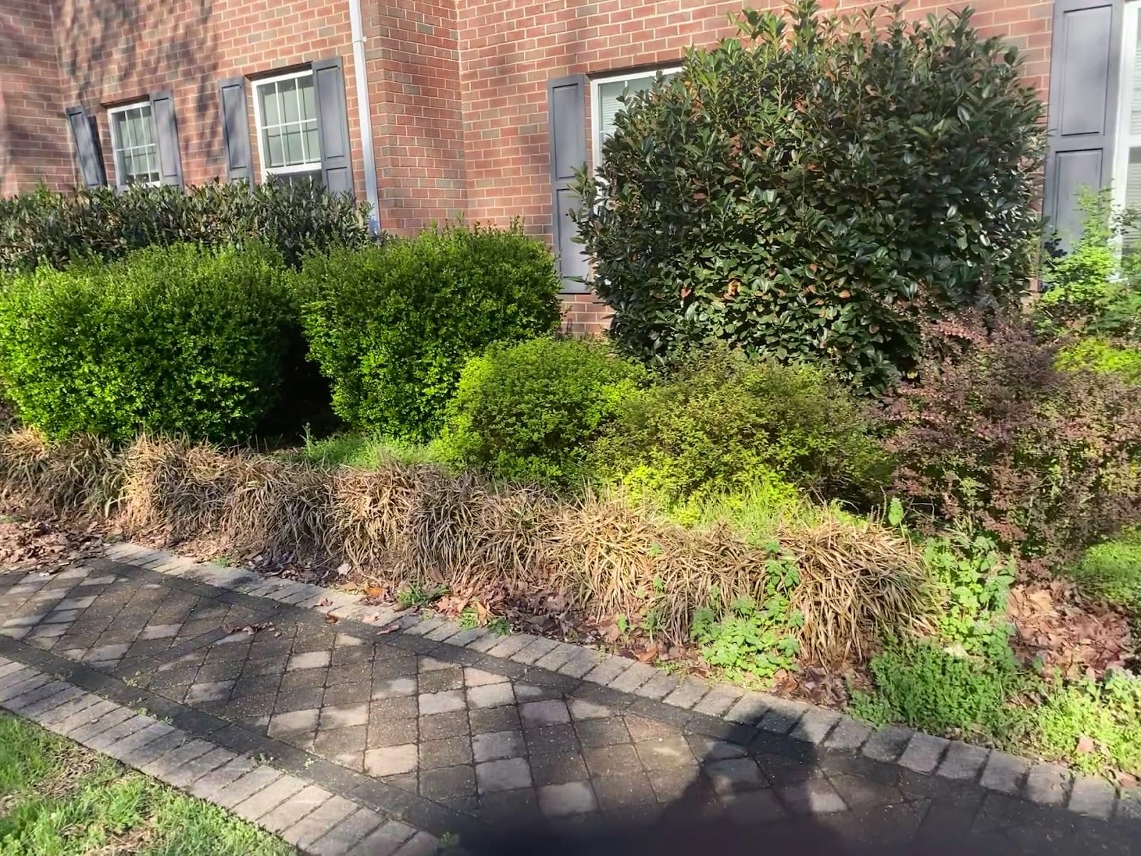 Wiseview Landscaping LLC